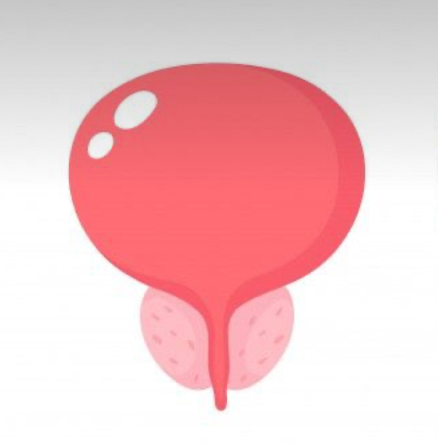 Ultrasonido vesico-prostático