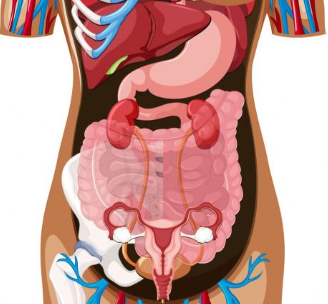 Ultrasonido abdomen completo