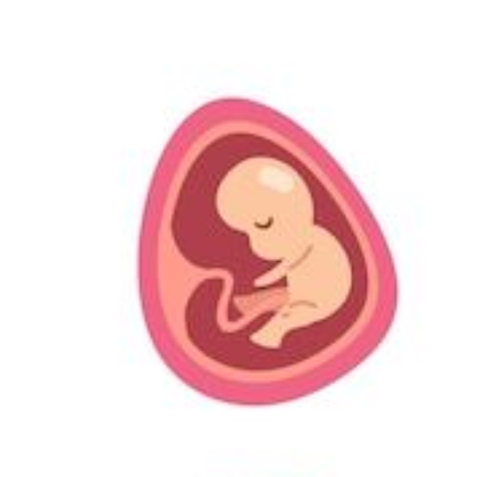 Ultrasonido obstétrico primer trimestre