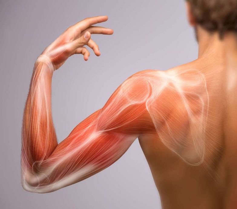 Ultrasonido de hombro